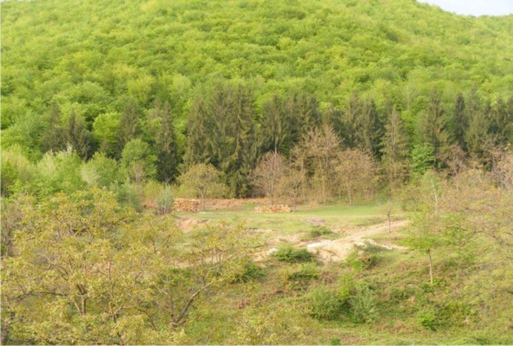 Pensiunea Mirela Pestera Ursilor Chiscau Exterior photo